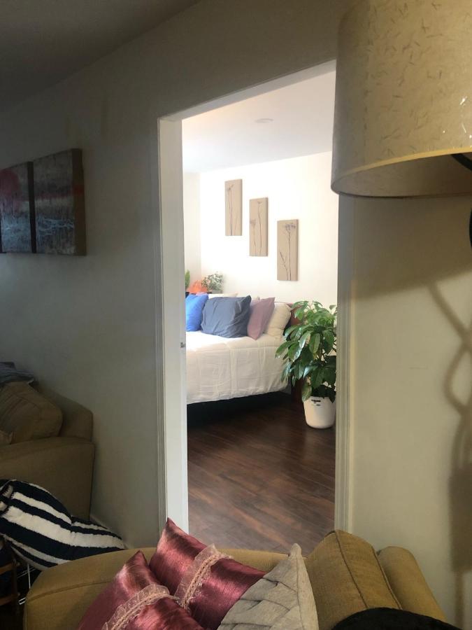 Quiet-Comfy 3 Bedroom Home On A Tree Lined Street In Kits Vancouver Eksteriør bilde